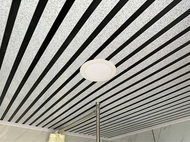 Sanitairunit / douche-/toiletunit - afbeelding 16 van  39