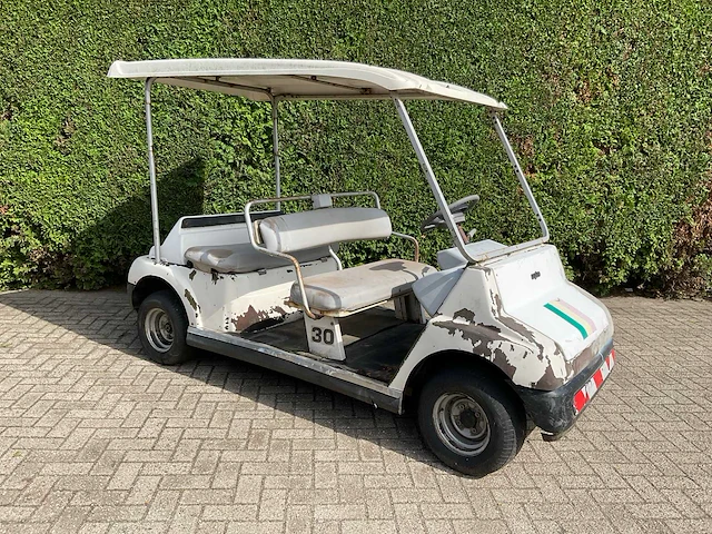 Sanyo golfkar motorgestuurd - afbeelding 1 van  15