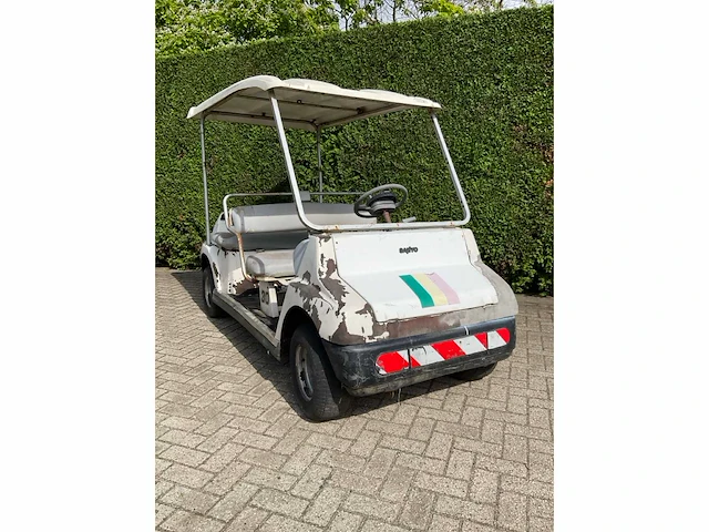 Sanyo golfkar motorgestuurd - afbeelding 9 van  15