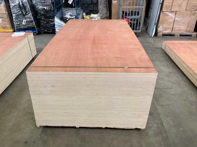 Sapelli wbp 9 mm multiplex - afbeelding 5 van  6