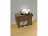 Saro doos koffiefilters - afbeelding 2 van  4
