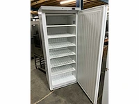 Saro f600 vrieskast - afbeelding 3 van  7