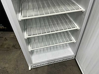 Saro f600 vrieskast - afbeelding 4 van  7