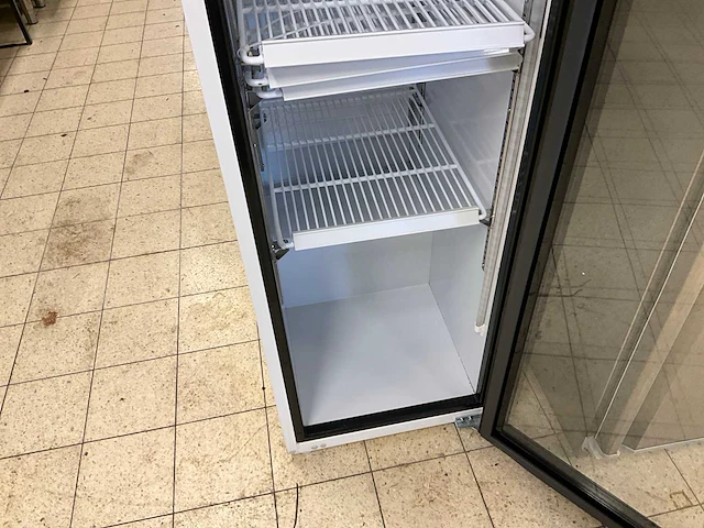 Saro sk 301 glasdeur koelkast - afbeelding 5 van  10