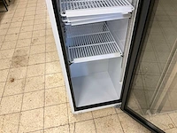 Saro sk 301 glasdeur koelkast - afbeelding 5 van  10