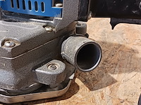 Satineerfrees, baier, bff222 - afbeelding 5 van  9