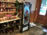 Scaiola koelvitrine