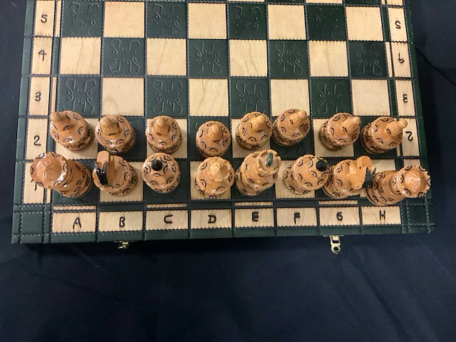 Schaakspel (2x) - afbeelding 3 van  6