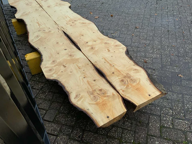 Schaaldelen (2x) - afbeelding 5 van  8
