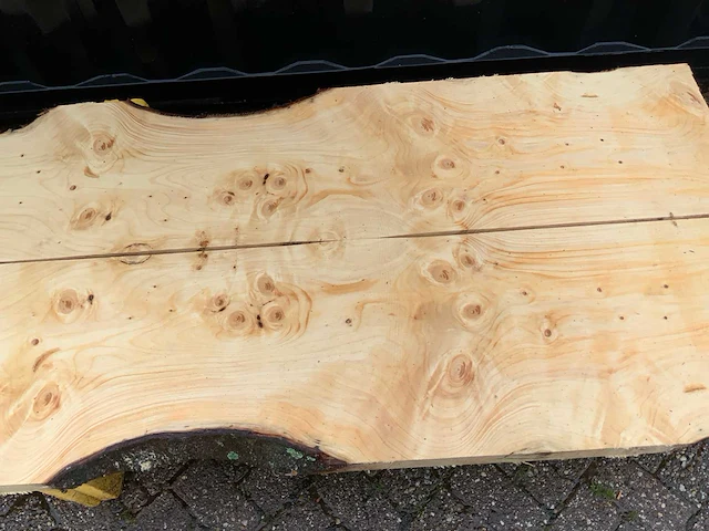 Schaaldelen (2x) - afbeelding 7 van  8