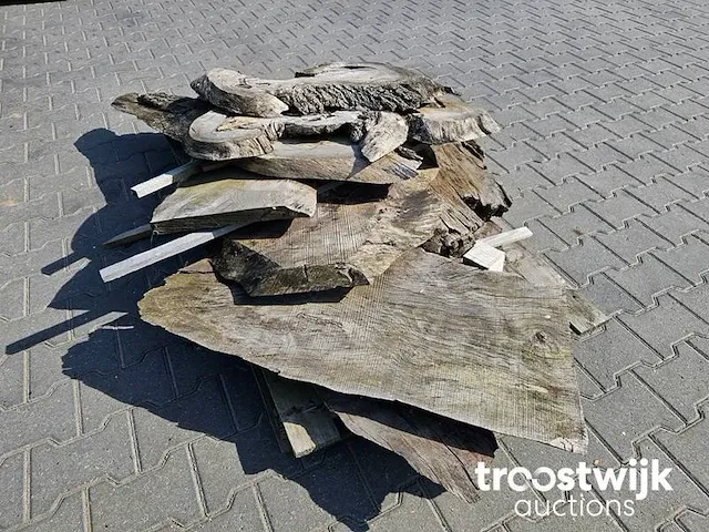 Schaaldelen diverse maten windgedroogd 3-5cm dik - afbeelding 4 van  5