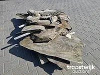 Schaaldelen diverse maten windgedroogd 3-5cm dik - afbeelding 4 van  5