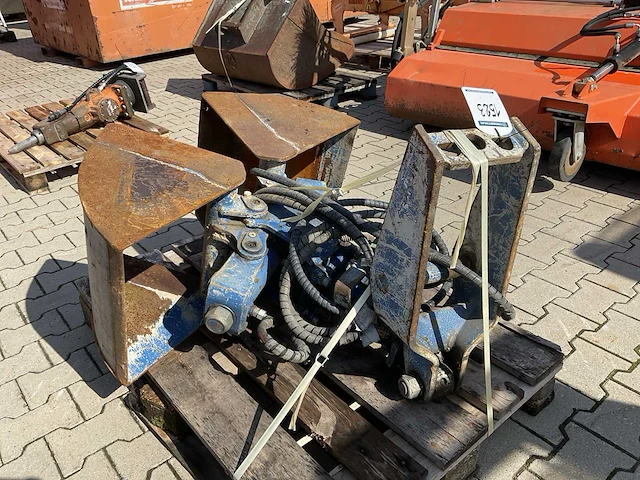 Schalengrijper - afbeelding 4 van  6
