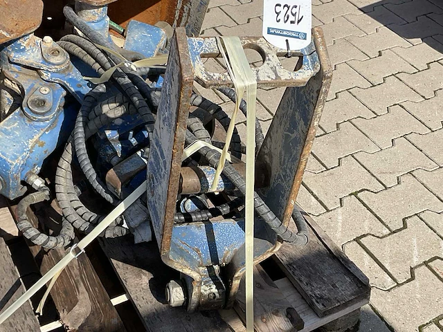 Schalengrijper - afbeelding 5 van  6