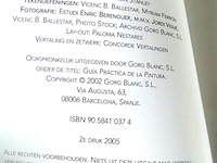 Schilderen een praktische gids - afbeelding 2 van  5