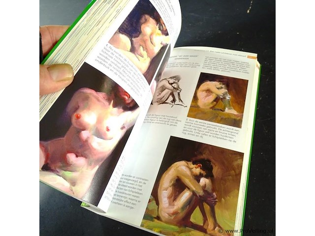 Schilderen een praktische gids - afbeelding 5 van  5