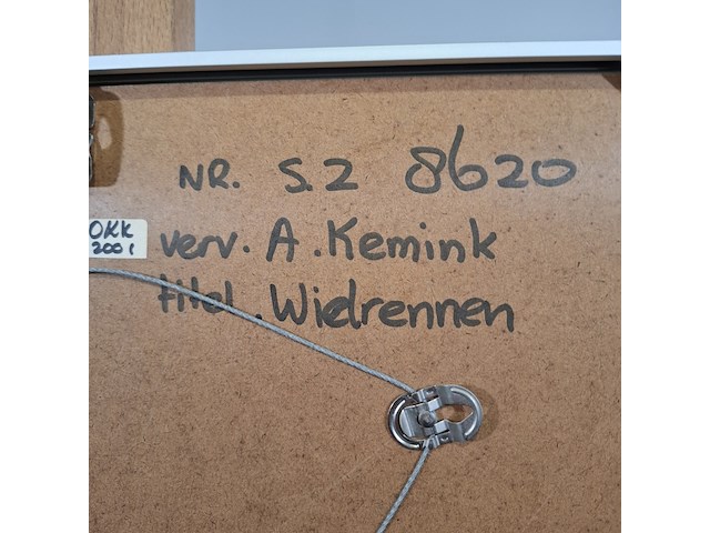 Schilderij, aart kemink, wielrennen - afbeelding 7 van  7