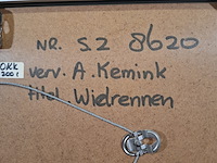 Schilderij, aart kemink, wielrennen - afbeelding 7 van  7