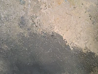 Schilderij, a.h. koster, paalhoofd bij west kapelle, 1955 - afbeelding 3 van  9