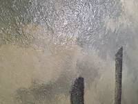 Schilderij, a.h. koster, paalhoofd bij west kapelle, 1955 - afbeelding 4 van  9