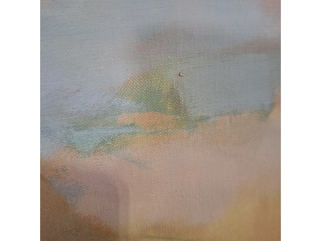 Schilderij, d. van het woud, canyellas petitas rosas i, 1963 - afbeelding 5 van  9