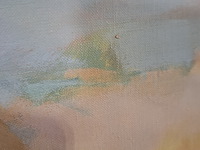 Schilderij, d. van het woud, canyellas petitas rosas i, 1963 - afbeelding 5 van  9