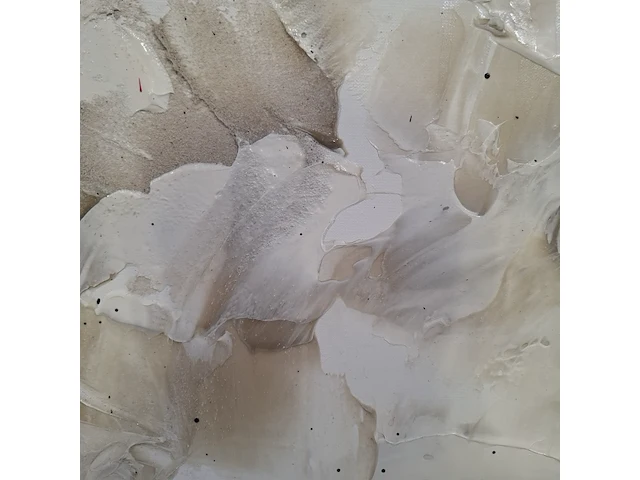 Schilderij, gert van reenen - afbeelding 3 van  7
