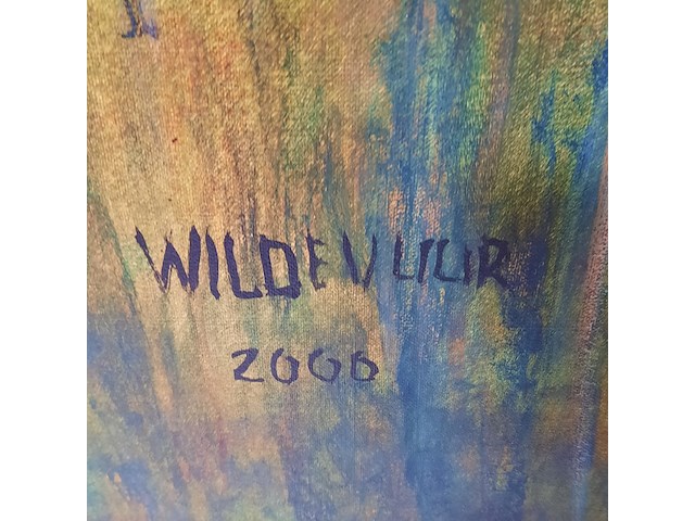 Schilderij, maya wildevuur (1944-2023), neushoorn, 2000 - afbeelding 5 van  8