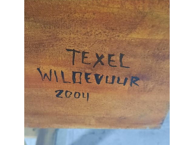 Schilderij, maya wildevuur (1944-2023), zeehond - texel, 2004 - afbeelding 6 van  8
