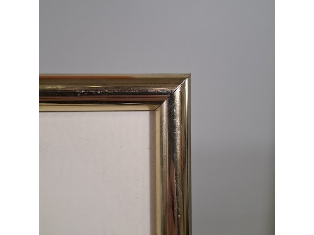 Schilderij, maya wildevuur (1944-2023), zeehond - afbeelding 7 van  15