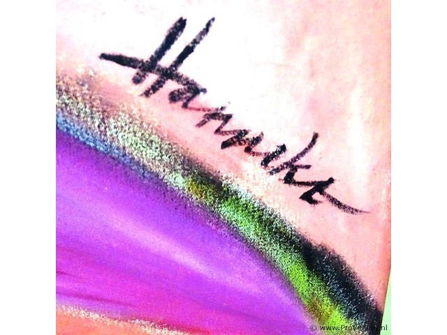 Schilderij op doek gesigneerd hanneke - afbeelding 4 van  5