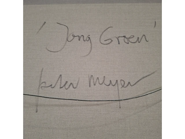 Schilderij, peter meijer, jong groen, 2009 - afbeelding 8 van  8