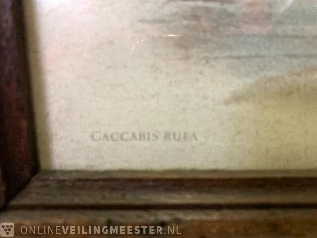 Schilderijen en foto lijsten - afbeelding 10 van  22