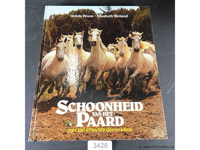 Schoonheid van het paard - afbeelding 1 van  5