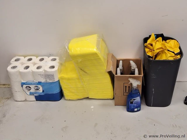 Schoonmaakartikelen/middelen o.a. schoonmaakdoekjes, toiletpapier, multi-reinigers & afvalbak - afbeelding 1 van  4
