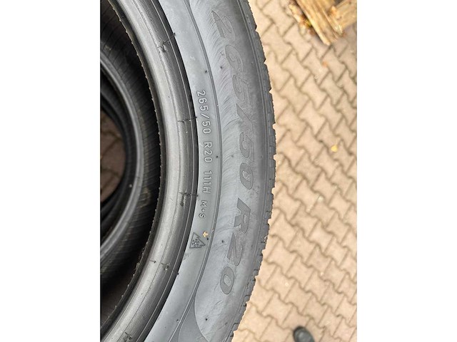 Scorpion - winter - autoband - afbeelding 3 van  4