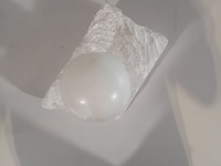 Sculptuur, marjam de nijs, bezield, 1997 - afbeelding 5 van  6