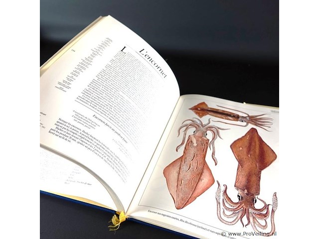 Seafood - afbeelding 4 van  5