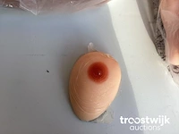 Seks artikelen - afbeelding 3 van  7