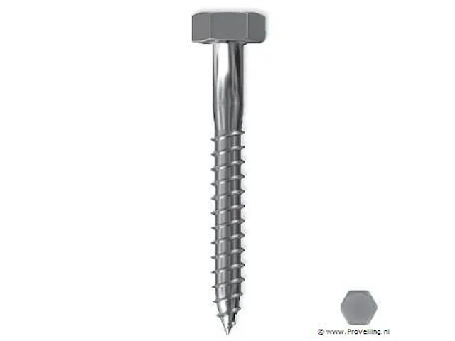 Sencys houtdraadbout gegalvaniseerd staal m10 120mm 4 stuks - afbeelding 1 van  1