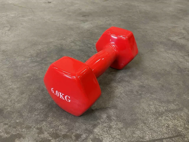 Set á 4 stuks 6kg dumbells - afbeelding 1 van  2