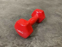 Set á 4 stuks 6kg dumbells - afbeelding 1 van  2