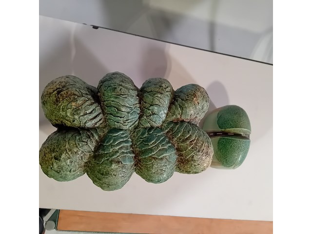 Set keramische kunstwerken, t. manche, doorsnede landschap - afbeelding 5 van  8