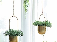 Set v 2 hangende plantenbak ovaal goudkleurig - afbeelding 3 van  4