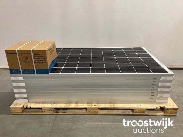 Set van 10 astronergy glas-glas zonnepanelen (310 wp) en 1 blaupunkt bps-v01-3.0 omvormer - afbeelding 1 van  9