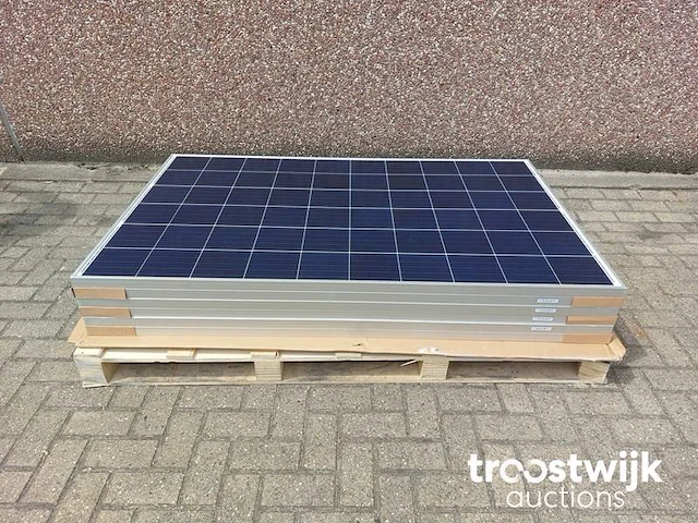 Set van 6 akcome sk6610p-275 zonnepanelen en 1 aeg as-ir01-1500 omvormer - afbeelding 2 van  6