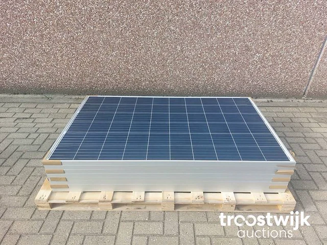 Set van 8 akcome sk6610p-275 zonnepanelen en 1 growatt mic 2000tl-x omvormer - afbeelding 2 van  8