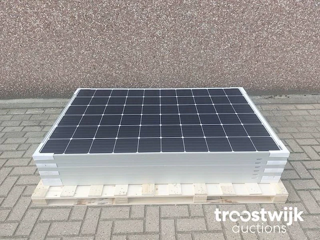 Set van 8 astronergy chsm6610m(dg)/f-310 glas-glas zonnepanelen en 1 growatt mic 2500tl-x omvormer - afbeelding 2 van  8