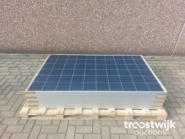 Set van 8 talesun tp660p-280 zonnepanelen en 1 growatt mic 2000tl-x omvormer - afbeelding 2 van  8