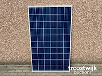 Set van 8 talesun tp660p-280 zonnepanelen en 1 growatt mic 2000tl-x omvormer - afbeelding 3 van  8